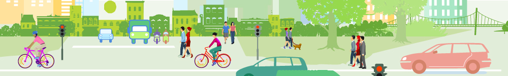 Transportation Survey 5.11.2018