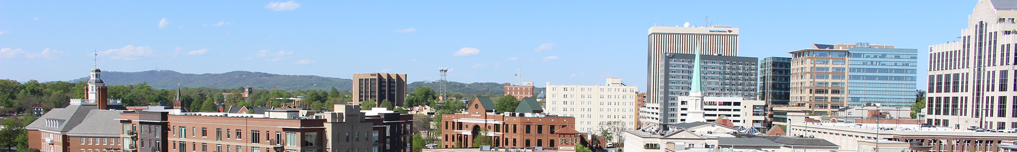 Default Partners Header