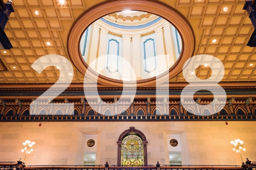 It’s 2018. Here’s What You Can Expect from Your Business Advocacy Team.