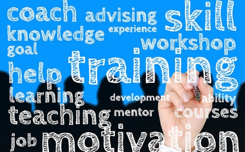 3 Rules of Engagement for Effective Mentorships: How to be a Highly Appreciated Mentor/Mentee