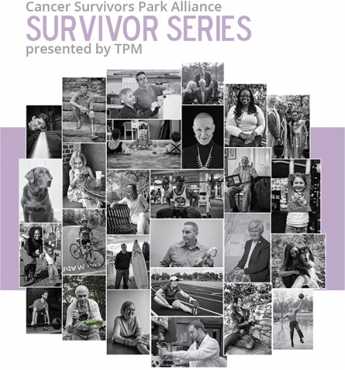 New Artwork: Survivor Series